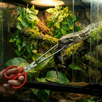Pinces d'alimentation pour reptiles et serpents, extra longues de 24,5 pouces, pour python, dragon barbu, lézard, accessoires pour terrarium