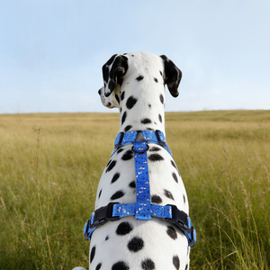 Arnés Reflectante para Perro con Diseño Personalizado al por Mayor, Malla Acolchada Suave, Hebillas Laterales Dobles, Anillo en D Trasero Seguro - Product Image 2