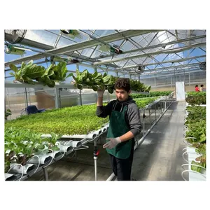 Thương mại PVC cấp thực phẩm nft thủy canh phát triển hệ thống cho Rau diếp/microgreens/Cần tây/Salad/Hoa/rau trồng