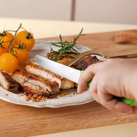 Vente en gros mini couteau de poche de cuisine en acier inoxydable de haute qualité couteau utilitaire avec manche en plastique pour désosser le poisson