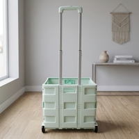 Chariot de courses pliable Uni-Silent Mini à 2 roues, silencieux, en plastique, chariot de rangement, chariot pour monter les escaliers FST25A