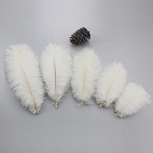 Grand festival de carnaval blanc plumas en plumes d'autruche de haute qualité 15-65CM pour les centres de table de mariage de noël - Product Image 1