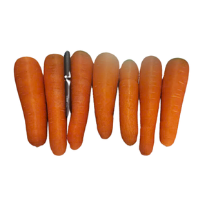 Zanahorias Frescas Dulces Orgánicas con Alto Contenido de Vitaminas Cultivadas en Vietnam, Almacenamiento en Frío, 10 cm, para Jugos, Cocina, Venta al por Mayor a Granel - Product Image 3