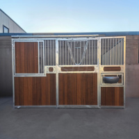 Façades de boxes pour chevaux galvanisées à chaud avec porte coulissante, remplissage en bambou et abreuvoir automatique pour ferme équestre 10ft 12ft