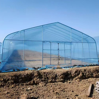 Grande serre agricole monocouche à simple travée, couverture de culture en film HDPE/PE, installation facile, marque Bafangle, Wuxi Chine