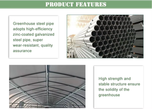 โรงเรือนเพาะเห็ดแบบสีเขียวขนาดใหญ่ รุ่น STG-1/STG-2 สำหรับการปลูกเห็ด - Product Image 3