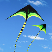 Cerf-volant d'extérieur pour enfants et adultes, motif imprimé à rayures d'oiseaux, triangulaire arc-en-ciel, avec queue et poignée, vente en gros