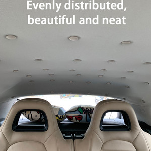 Boucles de toit de garniture intérieure automobile Entretien du <span class=keywords><strong>tissu</strong></span> Rivets Capuchon de retenue Réparation avec vis de fixation Fixation automatique et accessoires de clip - Product Image 2