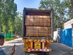 RUIHE <span class=keywords><strong>D</strong></span>écoration <span class=keywords><strong>de</strong></span> meubles modernes personnalisés Peau <span class=keywords><strong>de</strong></span> <span class=keywords><strong>porte</strong></span> moulée en mélamine HDF intérieure 1 an 830KG/M3 Surface MDF finie - Product Image 6