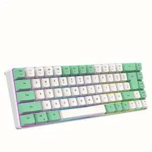 K701 แยกร่องคีย์ 68 คีย์ สาย Mechanical รู้สึกคีย์บอร์ดเล่นเกมเรืองแสง RGB สีคู่