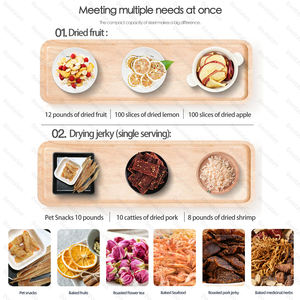 Séchoir à collation pour animaux de compagnie Séchoir commercial pour fruits et légumes et viande Séchoir à aliments multifonction Séchoir à aliments efficace pour animaux de compagnie - Product Image 5
