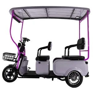 600W 48V Tricycle électrique solaire ouvert 3 roues TukTuk personnalisé avec toit OEM d'usine