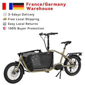 Vélo cargo électrique pour enfant de 20 pouces avec longue queue, vélo familial électrique, <span class=keywords><strong>housse</strong></span> de pluie, entrepôt France - Product Image 2