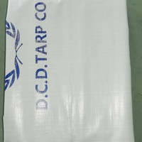 Bâche PE blanche double avec logo bleu Bâche de secours en cas de catastrophe des Nations Unies Bâche d'abri