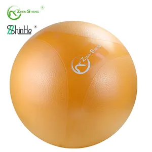 Zhensheng supplier custom logo REACH passed hot anti burst exercise pvc swiss yoga ball exercise balls