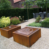 Étang de fontaine de chute d'eau de jardin de nappe phréatique en acier Corten