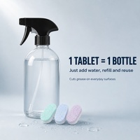 Tablettes de nettoyage multi-usages pour les voyages, tablettes nettoyantes effervescentes portables, paquet individuel pour la maison, l'hôtel et le camping