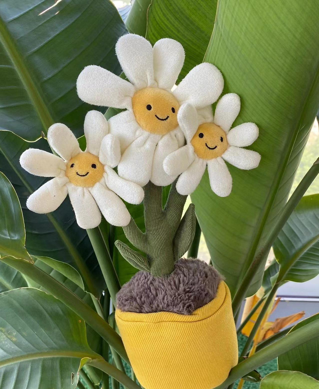 Marguerite en pot - sac bleu 3b offert