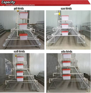 Cage à poules de type A à vendre, élevage avicole, cage à 3 ou 4 niveaux, cage à poules pondeuses pour utilisation à la ferme, cage à poules pondeuses - Product Image 6