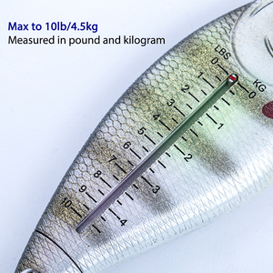 Rti Nhà Máy Sản Xuất Di Động Cơ Khí Câu Cá Mùa Xuân Quy Mô 4.5Kg/10lb Cơ Khí Câu Cá Quy Mô - Product Image 5