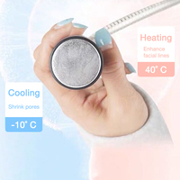 Salón de belleza Cuidado DE LA PIEL Máquina de masaje facial Crio-Electroporación D Cool para reducir los poros Rejuvenecimiento DE LA PIEL