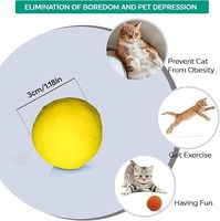 Lanceur de balles pour chat, pistolet en plastique écologique avec 20 balles pompons, interactif amusant pour chats d'intérieur