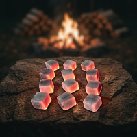 Charbons de coco de qualité supérieure pour chicha : Combustion stable et durable