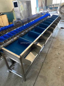 Full Automatic Weight Sorting Machine Fruit Nut Sorter Meat Chicken Shrimp Classifier Fish Grader Sorting Machine - Product Image 4