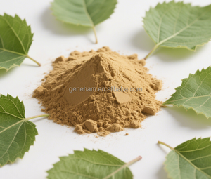 食品グレード1% DNJ白桑の葉エキス粉末バルク注文割引迅速配送ドラムまたはボトル入り - Product Image 5