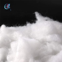 Fibre de Polyester Recyclée, Garnissage Polyfill Haute Résilience pour Oreillers, Projets de Poupées DIY et Décoration Intérieure