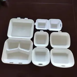 Venda quente Máquina de fazer lancheira de plástico para recipientes de alimentos de uso único
