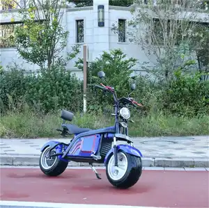 モデルハルククール人気製品2つの大きなホイールオートバイ良い販売電動スクーター中国シンプルなデザインのSkuter