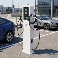 Station de recharge DC double borne pour véhicules électriques, borne de recharge au sol, armoire de terminaison 240 kW, équipement de recharge AC pour parking