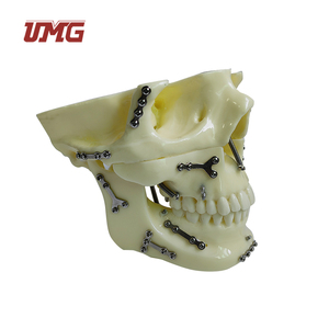 Modèle de <span class=keywords><strong>crâne</strong></span> pour la pratique des implants de fixation de fractures avec plaque en titane prépositionnée pour la formation chirurgicale, l'enseignement et la démonstration - Product Image 5