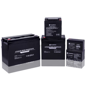 OEM baterai <span class=keywords><strong>Lithium</strong></span> Ionen <span class=keywords><strong>Ion</strong></span> 48v 24v 10ah 30ah 40Ah 50ah 60Ah 20ah Litium fosfat Baterai Lifepo4 pak - Product Image 5