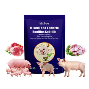 Additifs alimentaires mélangés vitamines d'acides aminés probiotiques pour booster de porc pour rendre les aliments pour porcs plus facilement absorbés prémélange d'aliments pour porcs