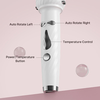 Fer à boucler 5 en 1 interchangeable à ions négatifs, lisseur pour supermarchés et détaillants