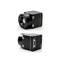 Module de caméra thermique YRX6409 de haute qualité d'origine, 640*512, sortie double USB+CVBS avec objectif 9 mm pour drone FPV SDK