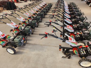 <span class=keywords><strong>Mejor</strong></span> Venta Rototiller Cultivador Mini <span class=keywords><strong>Gasolina</strong></span> Potencia Tiller y Cultivadores - Product Image 2