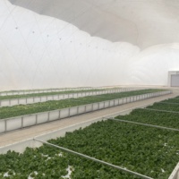Serres agricoles gonflables à membrane, service mondial, grandes serres commerciales, serres agricoles