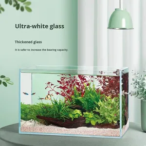 Shandong Aquarium Ecologisch Desktop Ultra-Helder Klein Aquarium Bakje Waterplanten Sierlijke Vissen Schildpad Glas - Product Image 3