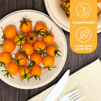 Assiettes jetables personnalisables en bagasse de canne à sucre biodégradable et écologiques – 6, 7, 9, 10, 12 pouces – Vaisselle et assiettes jetables