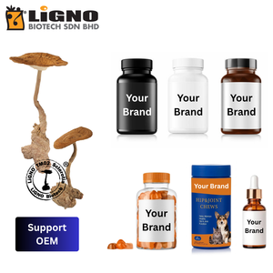 ผงสารสกัดเห็ดนมเสือ LiGNO TM02 ชนิดมาตรฐาน เครื่องดื่มเสริมสมรรถภาพร่างกาย บำรุงสมดุลพลังชีวิต - Product Image 6