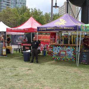 Auvent d'entreprise personnalisé <span class=keywords><strong>10x10</strong></span>, tentes en toile pour événements - Product Image 5