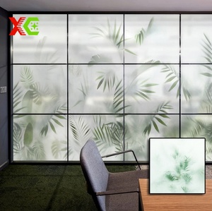 Lastra Acrilica Trasparente Satinata con Buona Resistenza, Dimensioni Personalizzabili, Materiale Ideale per Realizzare Pannelli Divisori <span class=keywords><strong>Mobili</strong></span> in Aree Pubbliche - Product Image 5