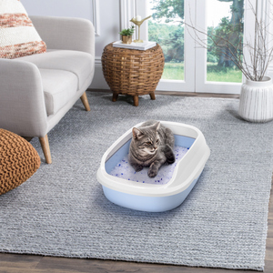 Nobleza 3.8L Gel diamante lettiera per gatti gatto assorbente comoda sabbia biodegradabile 2 confezioni - Product Image 6