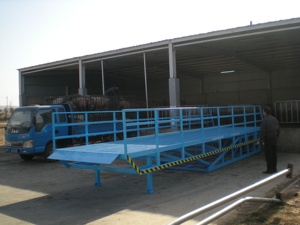 Rampa de Carga Hidráulica Estacionaria para Ganado (Cerdos, Ovejas, Cabras, Vacas) de 6-15t de Capacidad, Acero al Manganeso de Alta Resistencia, 380/220V para Granja - Product Image 2