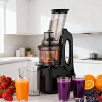 Groothandel Commerciële Multifunctionele RVS Elektrische Automatische Fruit Slow Juicer