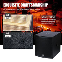 Subwoofer actif ODM OEM 15 pouces 2500W avec DSP, 33Hz-220Hz, pour système de sonorisation de scène, concert, club