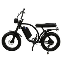 Vélo électrique personnalisé avec assistance électrique, moteur de moyeu arrière 48V 20 pouces, pneus larges au lithium, pour la neige, le sable et les terrains accidentés, longue autonomie de la batterie